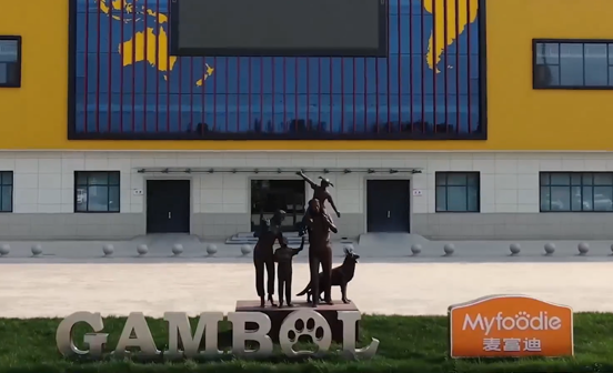 乖宝集团案例-乖宝集团